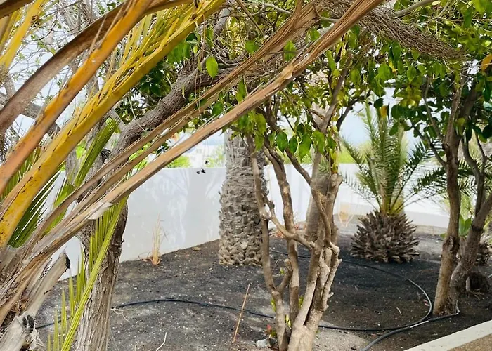 Villa Rosa