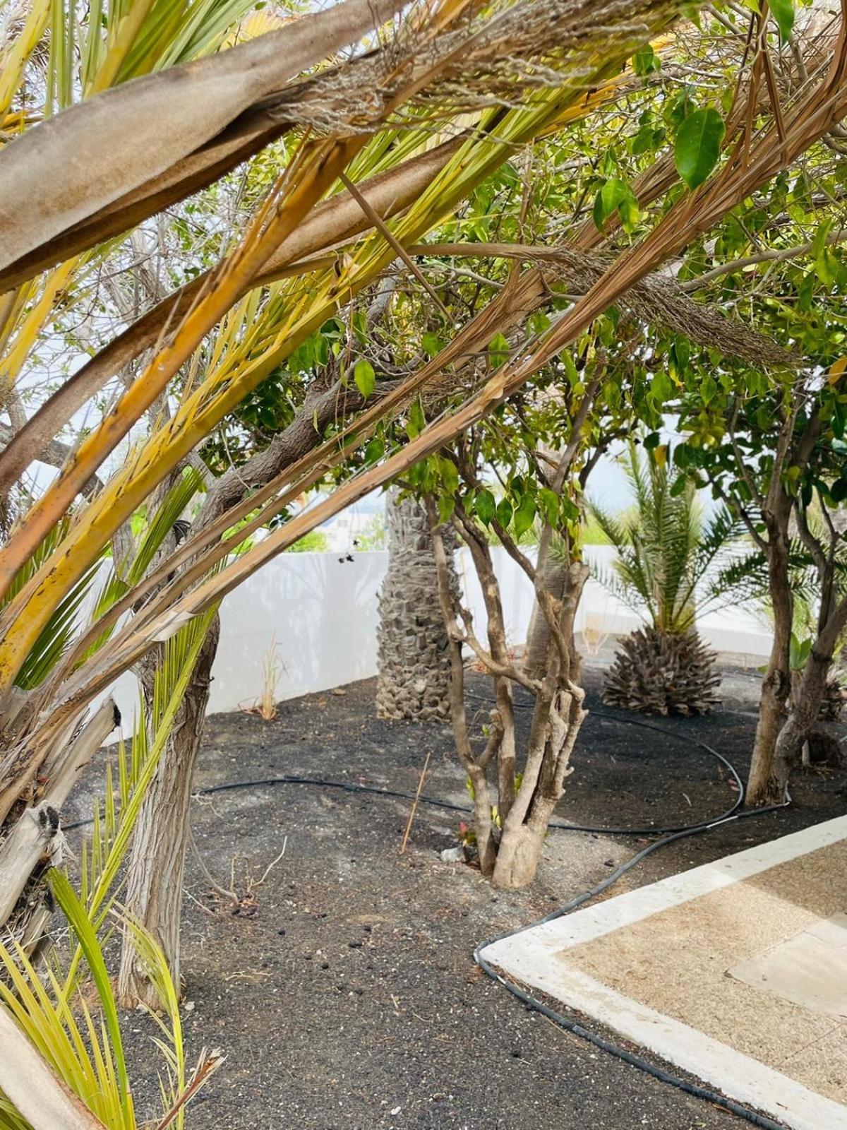 Villa Rosa